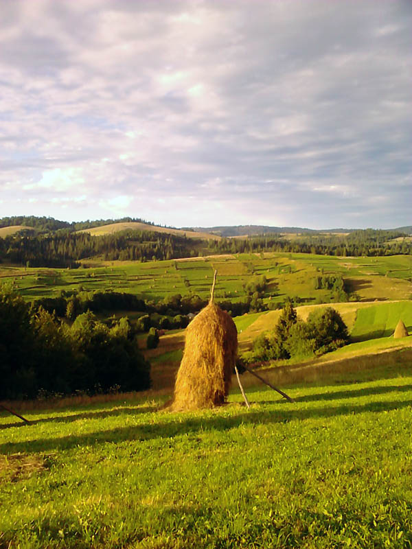 Вид с места занятий